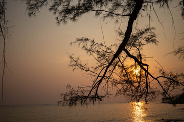 Fototapeta premium sunset on the beach