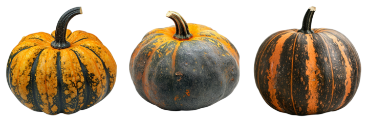 Three pumpkins of different colors and sizes