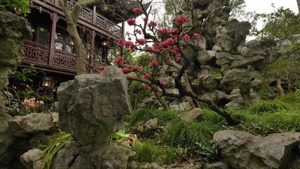 Natural and cultural landscapes within Shanghai Yu Garden. High quality 4k footage