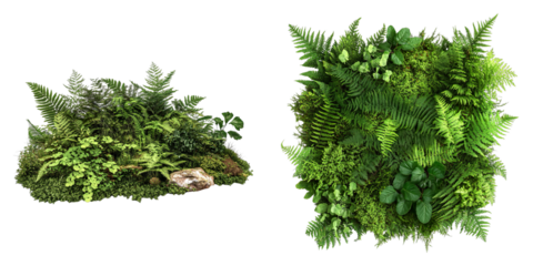 The first image is a rock covered in green plants