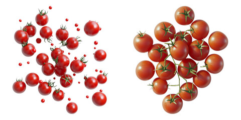 Two different types of tomatoes, one with a more rounded shape