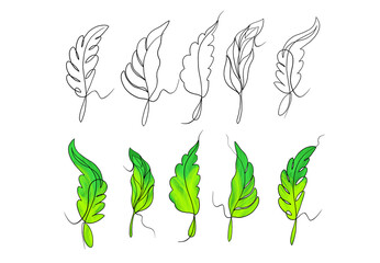 Elegant leaf line art and vibrant green watercolor style vector set, featuring delicate botanical illustrations for nature-inspired designs, textile patterns, and artistic embellishments.