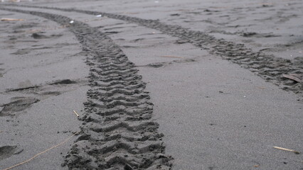 Close-up of vehicle tire marks left in damp, dark-colored sand, showing tread detail and movement direction across the beach.
