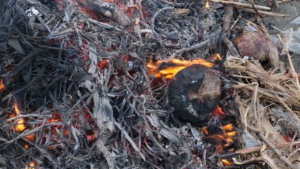 Open flame consuming dry branches, twigs, and coconut husks in an outdoor fire, creating smoke,...