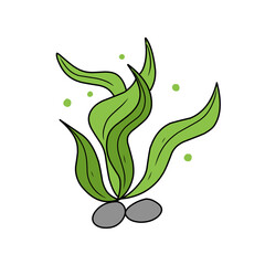 green seaweed vector