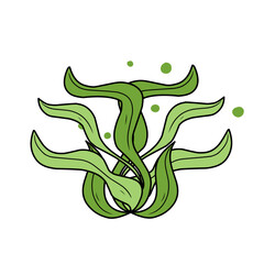 green seaweed vector