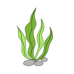 green seaweed vector