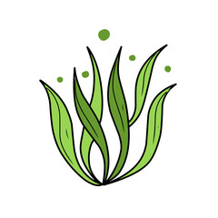green seaweed vector