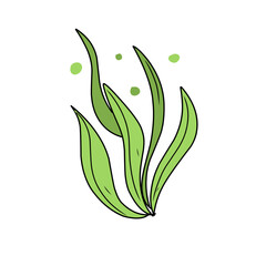 green seaweed vector