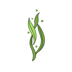 green seaweed vector