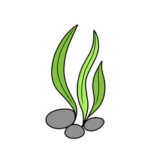 green seaweed vector