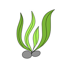 green seaweed vector