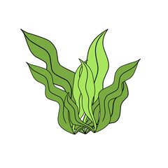 green seaweed vector