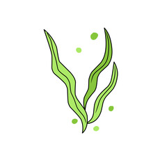 green seaweed vector