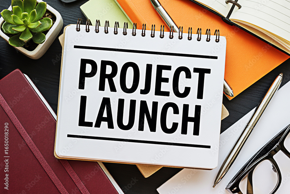 Poster project launch strategy planning and successful execution for business growth and development plan