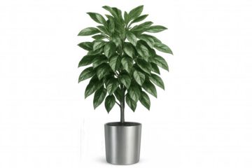 Green foliage growing in minimalist planter, adding contemporary botanical accent to clean interior design workspace