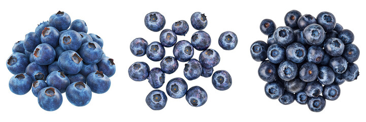 Three different types of blueberries are shown in the image