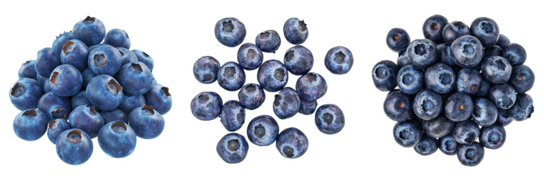 Three different types of blueberries are shown in the image