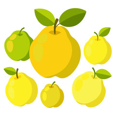 set of fresh quince