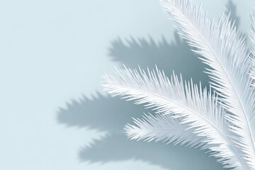 Pastel light, white palm fronds cast shadows