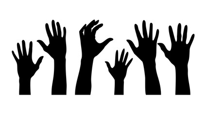 Collection of Diverse Musical Instruments orchestra