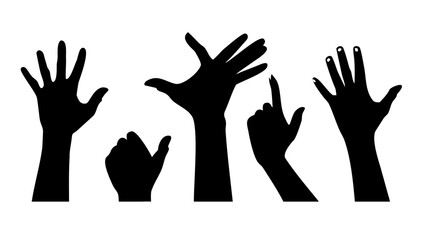 Collection of assorted seashells ocean beach