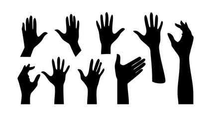 Collection of Various Musical Instruments orchestra