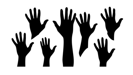 Diverse Collection of Vintage Cameras retro photography