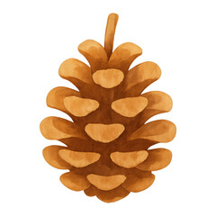 PNG Watercolor pine cone illustration.