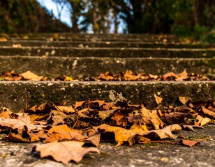 Autumnal Ascent: A Stairway Adorned with Fallen Leaves Transitioning to Winter Days