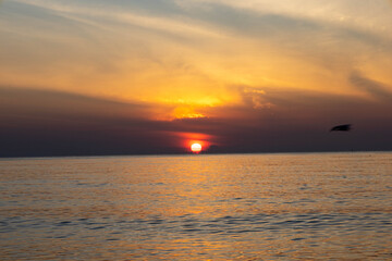 Beautiful sunset on the sea beach with coconut tree for travel in holiday