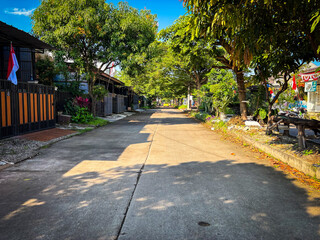 Obraz premium Sunny neighborhood street with lush green trees