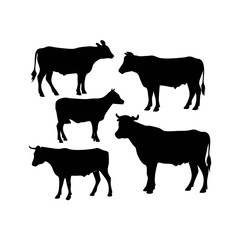 Silhouette of Bovine Life: A set of five elegant black silhouettes of cattle, presenting the essence of domestic livestock in various poses, capturing the rural essence. See Less