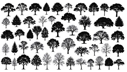 Fototapeta premium Various tree silhouettes against a plain background.