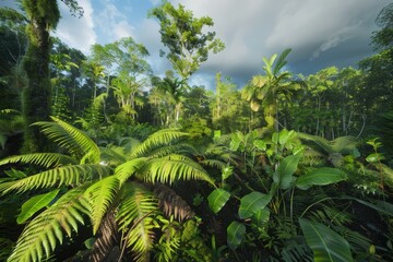 Obraz premium Lush vegetation in a tropical rainforest