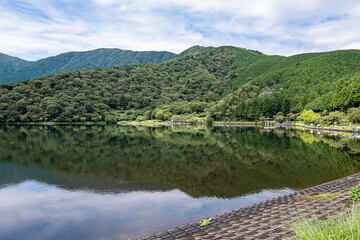 深緑の田貫湖