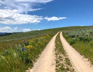 Fototapeta premium Country road through wildflowers (1)