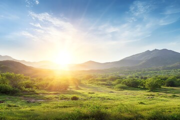 Obraz premium Golden sunlight bathes a lush, rolling meadow framed by distant mountains, evoking a sense of peace and natural beauty during a tranquil moment.