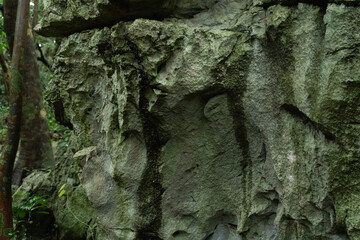 アスムイハイクス　大石林山　石灰岩