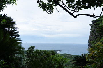 世界自然遺産のやんばるの森　アスムイハイクス　大石林山　美ら海展望台ステージ