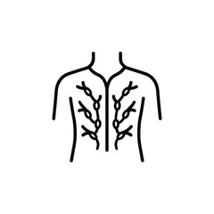 Detailed line art illustration of the human lymphatic system isolated on white background isolated on transparent background