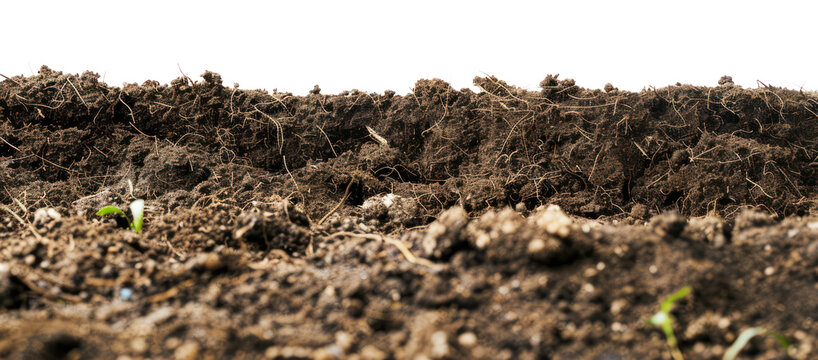 PNG Rich soil for gardening enthusiasts.