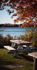 Weathered white picnic table with autumn leaves by a calm lake outdoor furniture