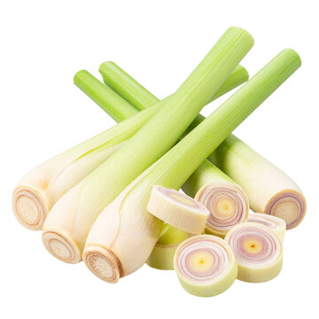 Lemongrass Isolated On White Background: An exquisite cluster of freshly cut lemongrass stalks, showcasing the vibrant green hues and intricate textures. 
