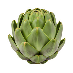 Obraz premium Fresh artichoke with overlapping leaves and pointed tips showing green and purple hues.