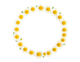 wreath of yellow flowers