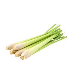Fresh Lemongrass Stalks Aromatic Culinary Herb with Pale Green and White Hues.