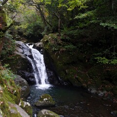 Obraz premium Forested waterfall cascade