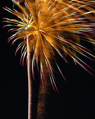 A beautiful color photo of vibrant fireworks exploding against a black sky background.