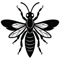 Wasp Digger Vector Illustration, Digger wasp silhouette